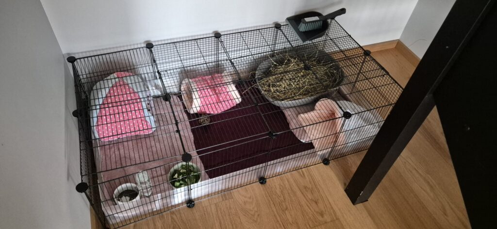 Sobiv puur meriseale 20250922 161613