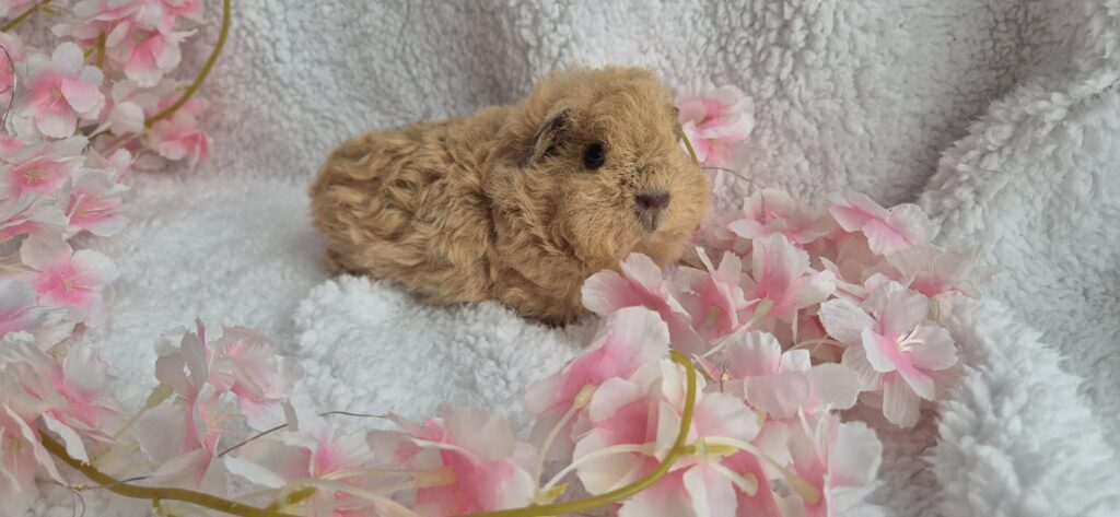 20251210 112516 scaled.jpg