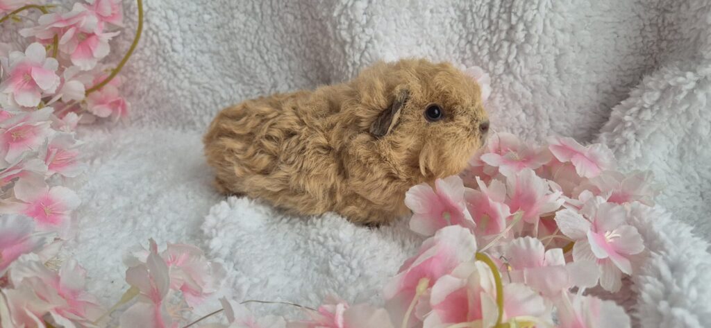 20251210 112520 scaled.jpg