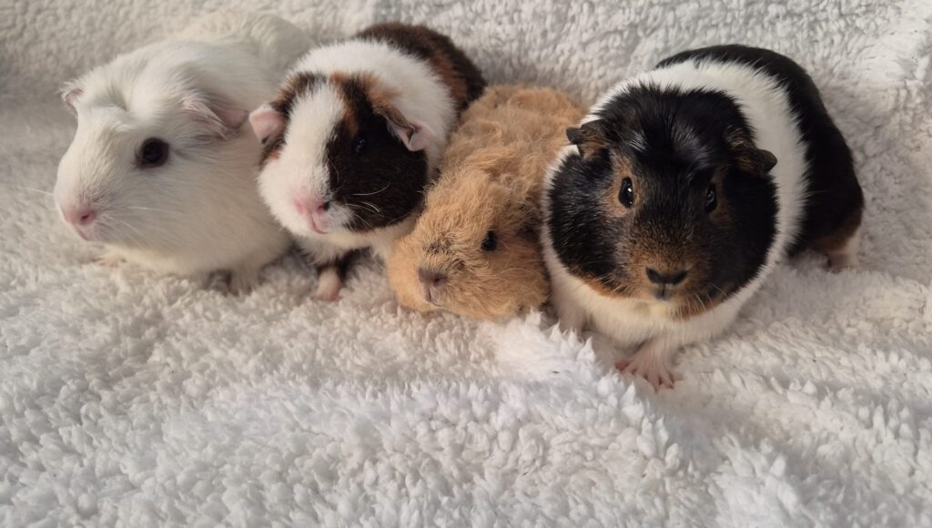 20251214 095829 scaled.jpg