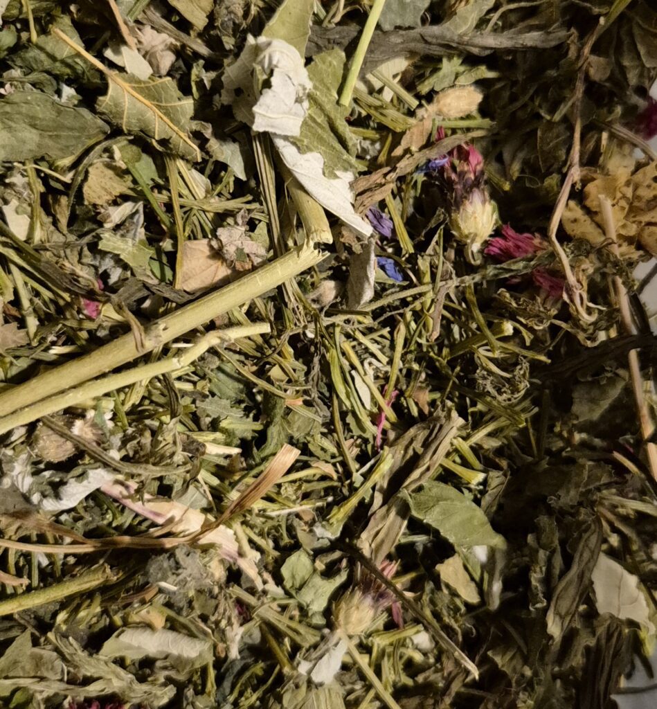 Ürdisegud - milleks ja kellele? 20260112 172854