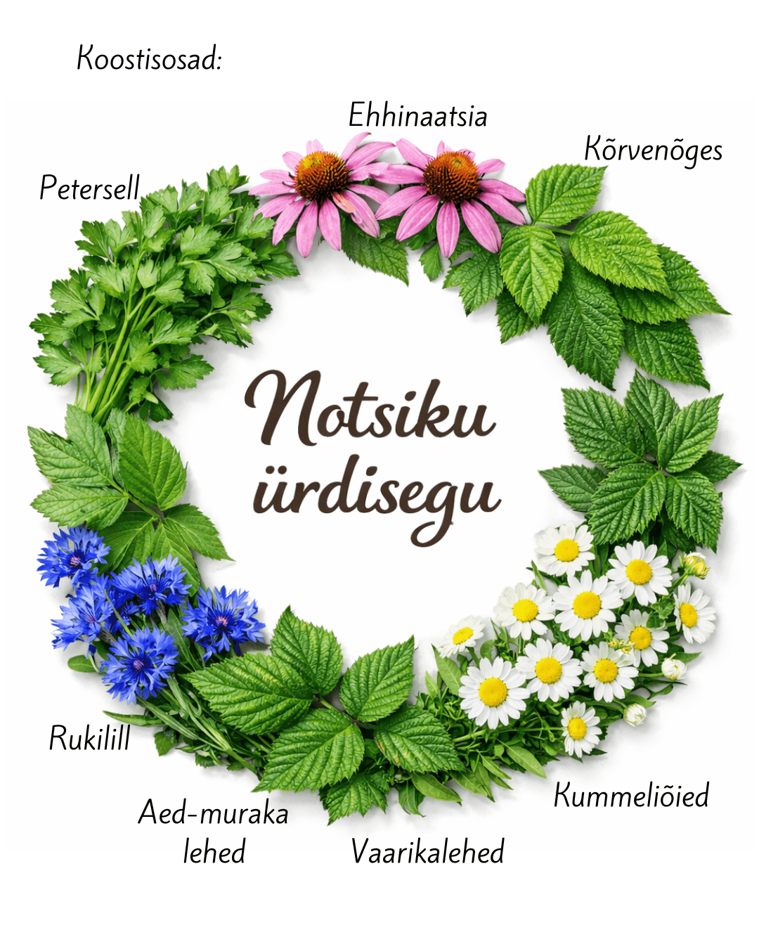 notsiku Ürdisegu uus! notsiku Ürdisegu uus!