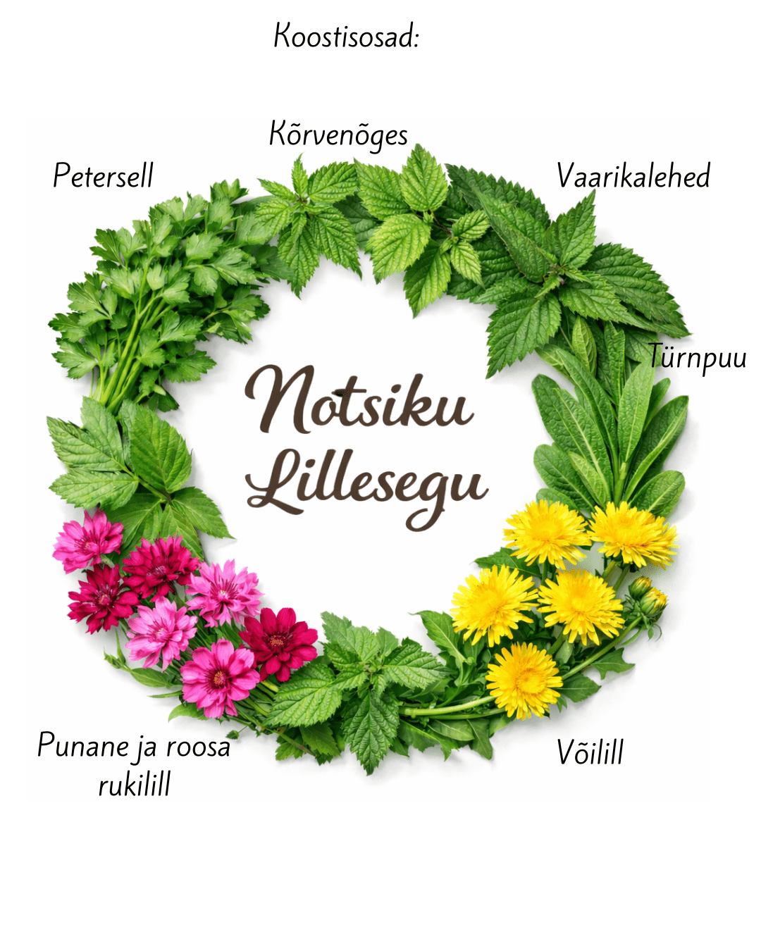 notsiku Ürdisegu uus! notsiku Ürdisegu uus!
