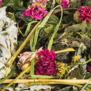 notsiku lillesegu uus! nosimissegu närilistele